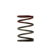 Turbosmart WG40 11PSI Middle Spring Brown/Red