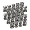 Supertech BMW M50/M52/S50/S52 Dual Valve Spring - Set of 24