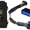 Haltech Elite 2500 Adaptor Harness ECU Kit