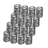 Supertech Toyota Supra 2JZ-GE/2JZ-GTE Single Valve Spring - Set of 16