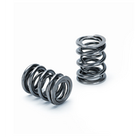 Supertech Dual Valve Spring - 29/21.80mm-21-15.5mm - 22mm CB - 18.3mm Max Net Lift - Set of 16