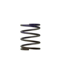 Turbosmart WG40 7PSI Middle Spring Brown/Purple