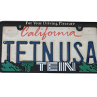 Tein License Plate Frame