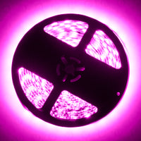 Oracle Exterior Black Flex LED Spool - Pink SEE WARRANTY