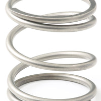 GFB EX38/44 10psi Wastegate Spring (Outer)