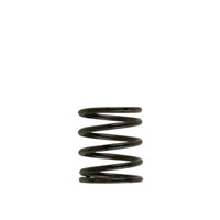 Turbosmart WG40 3PSI Inner Spring Brown/Black