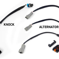 Haltech NEXUS Rebel LS Kit (Suits Gen III) Cable Throttle/EV1 Injectors/Manual Transmission